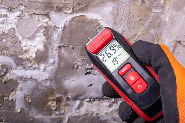 Best Commercial Mold Remediation in Winthrop Harbor, IL