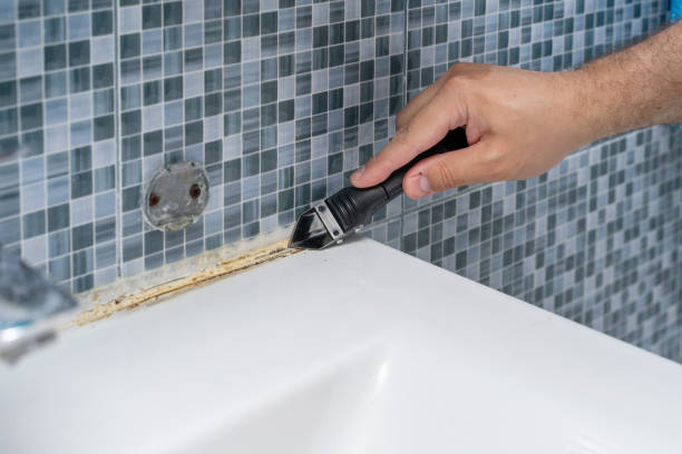 Best Basement Mold Remediation in Winthrop Harbor, IL