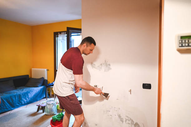 Best Mold Remediation for Schools in Winthrop Harbor, IL